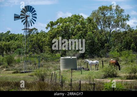 Eine Bohrlochwindpumpe im Outback in der Nähe von Charters Towers, Queensland, Australien Stockfoto