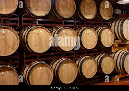 Herstellung von angereicherten jerez-, Xeres- und Sherry-Weinen in französischen Eichenfässern im Sherry-Dreieck, Jerez la Frontera, El Puerto Santa Maria und Sanlucar Bar Stockfoto