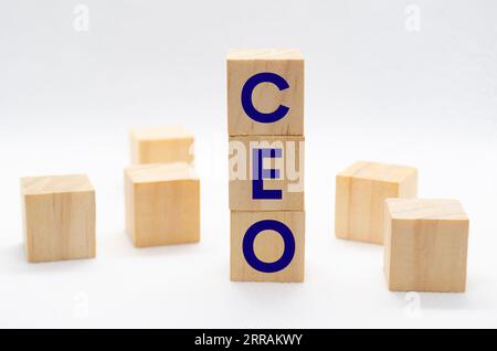CEO-Text auf Holzblöcken mit anpassbarem Platz für Text oder Ideen. Geschäftskonzept Stockfoto