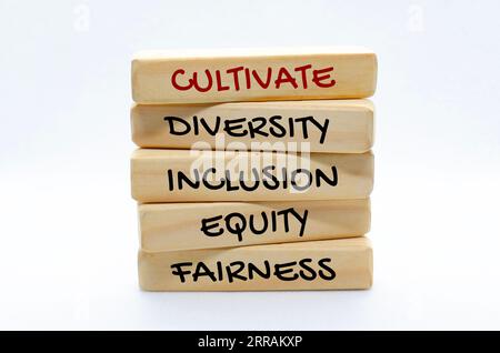 Pflegen Sie Vielfalt, Inklusion, Gleichheit und Fairness auf Holzblöcken Stockfoto