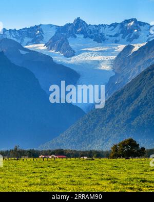 210806 -- WELLINGTON, 6. August 2021 -- Foto aufgenommen am 19. April 2019 zeigt einen Blick auf den Fox Glacier an der Westküste der Südinsel Neuseelands. Der neuseeländische Fox Glacier ist seit langem eine international bekannte Touristenattraktion. Rob Jewell, CEO von Fox Glacier Guiding, ist jedoch zutiefst besorgt über die Stornierung von Buchungen nach der achtwöchigen Pause der Trans-Tasman-Reiseblase, die Ende Juli eingeführt wurde, in der Regel die goldene Saison für Unternehmen der Fox Glacier Township, einem abgelegenen und kleinen Reiseziel in Neuseeland. ZUM MITNEHMEN: Neuseelands abgelegener Tourismusort ist schlecht Stockfoto