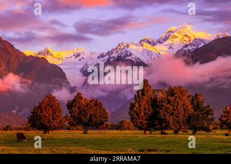 210806 -- WELLINGTON, 6. August 2021 -- Foto aufgenommen am 12. Oktober 2020 zeigt einen Blick auf den Fox Glacier an der Westküste der Südinsel von Neuseeland. Der neuseeländische Fox Glacier ist seit langem eine international bekannte Touristenattraktion. Rob Jewell, CEO von Fox Glacier Guiding, ist jedoch zutiefst besorgt über die Stornierung von Buchungen nach der achtwöchigen Pause der Trans-Tasman-Reiseblase, die Ende Juli eingeführt wurde, in der Regel die goldene Saison für Unternehmen der Fox Glacier Township, einem abgelegenen und kleinen Reiseziel in Neuseeland. ZUM MITNEHMEN: Neuseelands abgelegener Tourismusort badl Stockfoto