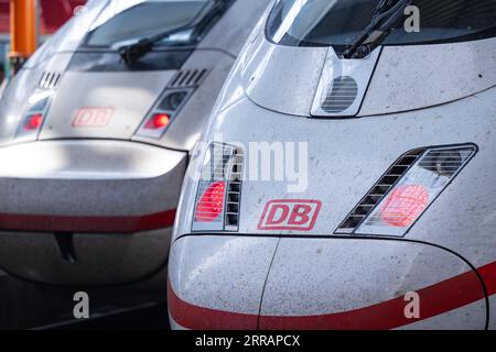 München, Deutschland. September 2023. Zwei ICE-Züge stehen am Hauptbahnhof auf dem Gleis. Nach einem Oberleitungsschaden in München wurde der Fernverkehr vom und zum Münchner Hauptbahnhof eingestellt. Lennart Preiss/dpa/Alamy Live News Stockfoto