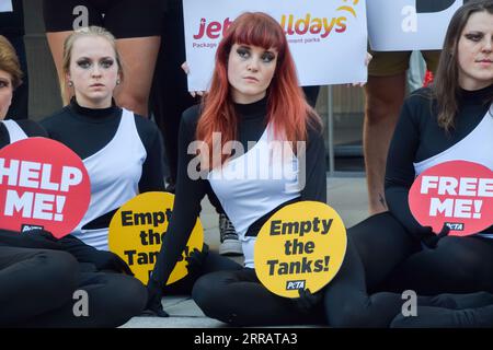 London, England, Großbritannien. September 2023. PETA-Aktivisten, die Orca-Kostüme tragen, und andere, die Plakate mit dem Titel „Jet2 Helldays“ tragen, inszenieren einen Protest vor dem jährlichen Treffen von Jet2 Holidays in Cheapside und rufen den Reiseveranstalter auf, Meeresparks, in denen Wale zur Unterhaltung in Tanks untergebracht sind, aus seinen Urlaubspaketen fallen zu lassen. (Bild: © Vuk Valcic/ZUMA Press Wire) NUR REDAKTIONELLE VERWENDUNG! Nicht für kommerzielle ZWECKE! Stockfoto