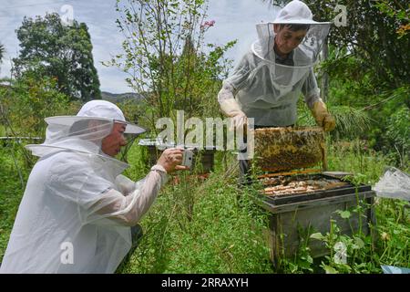 210821 -- FUZHOU, 21. August 2021 -- Wu Panfeng L erschießt Imkerei im Dorf Xiangyang in der Stadt Nan, Provinz Fujian im Südosten Chinas, 12. August 2021. Wu Panfeng kehrte vor ein paar Jahren ins Dorf Xiangyang zurück und nutzte das Internet-Marketing-Wissen, das er lernte, um sein Honiggeschäft zu betreiben. Im Jahr 2017 schlug China eine Strategie zur ländlichen Belebung als Schlüsselmaßnahme zur Beschleunigung der Modernisierung der Landwirtschaft und der ländlichen Gebiete vor und hat seither eine Vielzahl von Strategien verabschiedet, um den Fahrplan für die ländliche Belebung festzulegen. Während die Kampagne immer tiefer geht, spielen immer mehr junge, hochqualifizierte Mitarbeiter eine wichtige Rolle Stockfoto