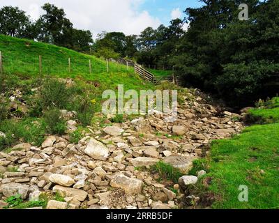 Der Nidderdale Way überquert den Nidd bei Dry Wath Ford in der Nähe von Middlesmoor Nidderdale AONB North Yorkshire England Stockfoto