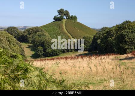 Colmer's Hill, Symondsbury, Dorset, England, Vereinigtes Königreich, Europa Stockfoto