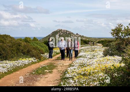 210902 -- KAPSTADT, 2. September 2021 -- Besucher wandern auf einem Pfad mit Wildblumen im West Coast National Park in der Westkap-Provinz, Südafrika, am 31. August 2021. ZU DIESEM Feature: Saisonaler Wildblumentourismus in Südafrika floriert trotz COVID-19 SÜDAFRIKAS-TOURISMUS-BLUMENROUTE-WILDBLUMEN LyuxTianran PUBLICATIONxNOTxINxCHN Stockfoto