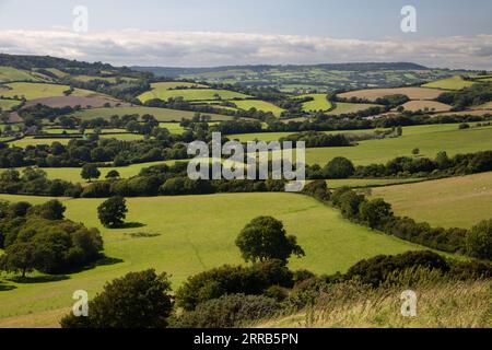 Blick auf die Landschaft von Dorset aus der Nähe von Symondsbury, Bridport, Dorset, England, Vereinigtes Königreich, Europa Stockfoto