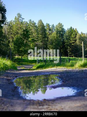 Blick auf eine Pfütze auf einer unbefestigten Straße Stockfoto