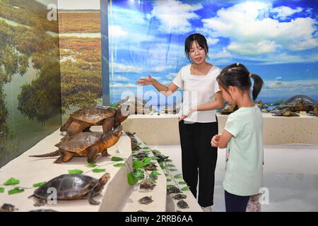 210903 -- HAIKOU, 3. September 2021 -- Ein Freiwilliger der Schildkröten-erste-Hilfe-Station in der Hainan Normal University erklärt einem jungen Besucher in einem Spezialmuseum der Universität in Haikou, Südchinesische Provinz Hainan, am 31. August 2021 Exponate. Die 2013 gegründete erste-Hilfe-Station in der Hainan Normal University hat es sich zur Aufgabe gemacht, Schildkröten in Not zu helfen und das Bewusstsein der Menschen für den Schildkrötenschutz zu schärfen. Diese Station wird von mehr als 30 Freiwilligen aus Biologie und verwandten Studiengängen an der Universität betrieben und heilt und rehabilitiert Schildkröten. Die Freiwilligen sagten, sie fühlen sich gut bezahlt für ihr Arduo Stockfoto