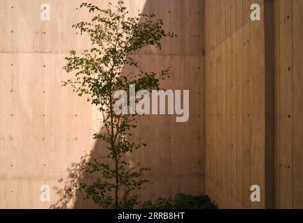 Detail. Edificio Temístocles, Mexiko-Stadt, Mexiko. Architekt: Gantous Architects , 2022. Stockfoto