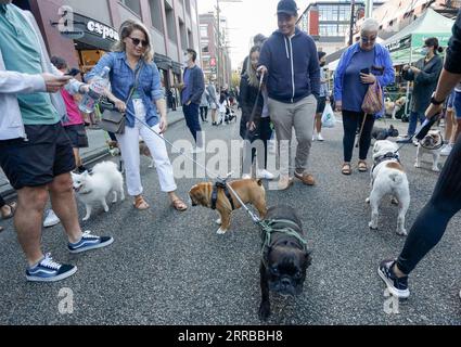 210912 -- VANCOUVER, 12. September 2021 -- Menschen bringen ihre Hunde auf die Straße, während sie am PET-A-Palooza Event in Vancouver, Kanada, am 12. September 2021 teilnehmen. Die jährliche Heimtierveranstaltung kehrte in diesem Jahr zurück, nachdem sie 2020 aufgrund der COVID-19-Pandemie abgesagt wurde, die mehr als tausend Hundebesitzer dazu brachte, an verschiedenen Aktivitäten teilzunehmen und die Freude mit ihren Haustieren zu teilen. Foto von /Xinhua CANADA-VANCOUVER-PET-EVENT LiangxSen PUBLICATIONxNOTxINxCHN Stockfoto