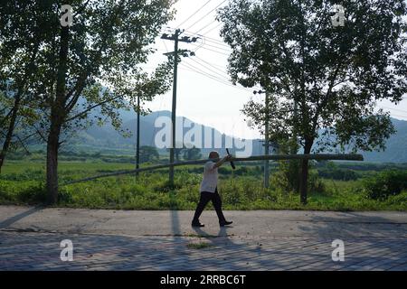 210914 -- XINYU, 14. September 2021 -- Li Nian gen geht mit einem Bambusstamm nach Hause in Dongcun Township, Fenyi County, Xinyu Stadt der ostchinesischen Provinz Jiangxi, 1. September 2021. Li Nian Gen, 62, ist der Erben der Bambusweberei in der fünften Generation in der Dongcun-Gemeinde. Li erwarb Bambus-Webtechniken von seinem Onkel, als er gerade einmal neun Jahre alt war, und begann mit 15 Jahren seinen Lebensunterhalt auf eigene Faust zu verdienen. Mehr als 20 seiner Auszubildenden entschieden sich Anfang der 1990er Jahre, eine Beschäftigung für ein besseres Einkommen in anderen Lebensbereichen außerhalb der Heimat zu suchen, aber Li entschied sich, zu bleiben und an seinem Beruf festzuhalten. Stockfoto