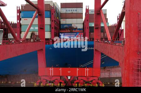 211013 -- SHANGHAI, 13. Oktober 2021 -- Ein Container mit Exponaten für die vierte China International Import Expo CIIE ist auf dem Containerschiff Libra von Chinas COSCO Shipping im Shanghai Yangshan Port, Ostchina, 13. Oktober 2021 zu sehen. Die erste Reihe von Exponaten auf dem Seeweg für die vierte China International Import Expo CIIE traf am Mittwoch in Shanghai ein. CHINA-SHANGHAI-CIIE-EXPONATE-ARRIVAL CN FANGXZHE PUBLICATIONXNOTXINXCHN Stockfoto
