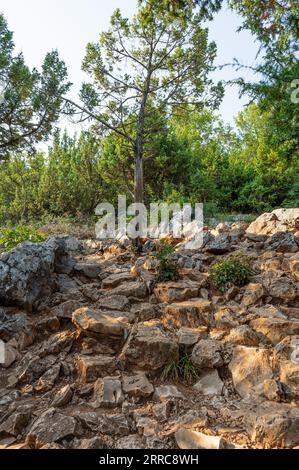 Das Krizevac, mit dem Podbrdo und der Kirche St. James ist sehr wichtig für diejenigen, die nach Medjugorje pilgern. Auf der Oberseite befindet sich ein Kreuz 8,5 Stockfoto