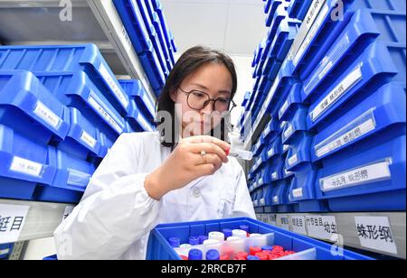 211030 -- GUANGZHOU, 30. Oktober 2021 -- Yu Yali, wissenschaftlicher Assistent am Institut für Zoologie der Guangdong Academy of Sciences, arbeitet in einem Labor in Guangzhou, Provinz Guangdong, 25. Oktober 2021. Ein Forscherteam unter der Leitung von Yang Xingke vom Institut für Zoologie der Guangdong Academy of Sciences entdeckte eine neue Art der Blattkäfer-Gattung Sphenoraia Clark, 1836 in Haizhu Wetland und nannte sie Sphenoraia Sphenoraioides haizhuensis Yang, 2021. Die Studie wurde in der Zeitschrift Entomotaxonomia veröffentlicht. Das Haizhu-Feuchtgebiet, das eine Fläche von etwa 1.100 Hektar umfasst, befindet sich im städtischen Gebiet Stockfoto