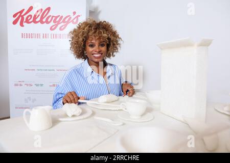 VERWENDEN SIE NUR Fleur East bei einer exklusiven Vorschauveranstaltung in London, um den Start von Kelloggs Reductive Art Exhibition A Story of Salt and Sugar zu feiern, die am 8. Und 9. September in Gallery@oxo für die Öffentlichkeit zugänglich ist. Bilddatum: Donnerstag, 7. September 2023. Stockfoto