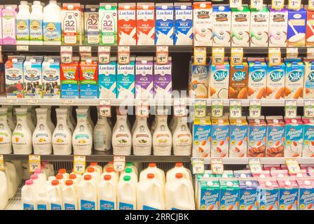 Milchauswahl im lokalen amerikanischen Supermarkt Stockfoto