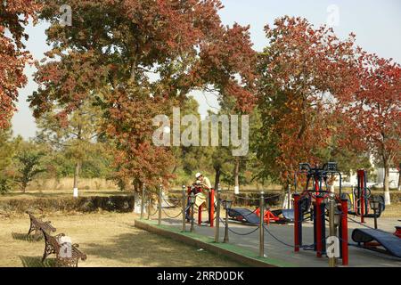 211125 -- ISLAMABAD, 25. November 2021 -- Foto aufgenommen am 25. November 2021 zeigt die Herbstlandschaft des Fatima Jinnah Parks in Islamabad, der Hauptstadt Pakistans. PAKISTAN-ISLAMABAD-HERBSTLANDSCHAFT AhmadxKamal PUBLICATIONxNOTxINxCHN Stockfoto