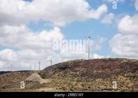 211126 -- KAPSTADT, 26. November 2021 -- Foto aufgenommen am 22. November 2021 zeigt Windturbinen des Windkraftprojekts de Aar, das von der chinesischen Longyuan Power und ihren südafrikanischen Partnern in de Aar, Südafrika, investiert wurde. TOGO WITH Roundup: China-Afrika-Zusammenarbeit unterstützt Afrikas Übergang zu grüner Energie AFRIKA-CHINA-GRÜNE ENERGIE-ZUSAMMENARBEIT LyuxTianran PUBLICATIONxNOTxINxCHN Stockfoto