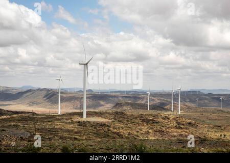 211126 -- KAPSTADT, 26. November 2021 -- Foto aufgenommen am 22. November 2021 zeigt Windturbinen des Windkraftprojekts de Aar, das von der chinesischen Longyuan Power und ihren südafrikanischen Partnern in de Aar, Südafrika, investiert wurde. TOGO WITH Roundup: China-Afrika-Zusammenarbeit unterstützt Afrikas Übergang zu grüner Energie AFRIKA-CHINA-GRÜNE ENERGIE-ZUSAMMENARBEIT LyuxTianran PUBLICATIONxNOTxINxCHN Stockfoto
