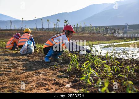 211127 -- GUIPING, 27. November 2021 -- Arbeiter Pflanzen Wasserpflanzen im Fischweg des Hilfsdamms im Nanmu River, der Teil des Dateng Gorge Water Conservancy Project ist, in Guiping, Südchinas autonome Region Guangxi Zhuang, 26. November 2021. Das Wasserkraftprojekt wird auf dem Gebiet errichtet, das aufgrund seiner komplexen Strömungsbedingungen ein wichtiger Lebensraum für Fische ist. Ein seltener Doppelfischweg für den Hauptdamm und den Hilfsdamm wurde daher zu Beginn der Bauarbeiten vorgeschlagen, der wie ein künstlicher Durchgang für Wanderfische aussah. CHINA-GUANGXI-GUIPING-DATENG SCHLUCHT- Stockfoto