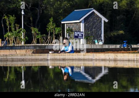 211127 -- GUIPING, 27. November 2021 -- Ein Techniker arbeitet in der Vermehrungs- und Freisetzungsstation des Wasserschutzprojekts Dateng Gorge in Guiping, südchinesische autonome Region Guangxi Zhuang, 26. November 2021. Das Wasserkraftprojekt wird auf dem Gebiet errichtet, das aufgrund seiner komplexen Strömungsbedingungen ein wichtiger Lebensraum für Fische ist. Ein seltener Doppelfischweg für den Hauptdamm und den Hilfsdamm wurde daher zu Beginn der Bauarbeiten vorgeschlagen, der wie ein künstlicher Durchgang für Wanderfische aussah. CHINA-GUANGXI-GUIPING-DATENG SCHLUCHT-ÖKOLOGISCHER SCHUTZ CN CA. Stockfoto