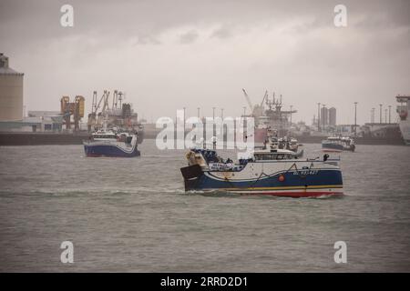 211127 -- CALAIS, 27. November 2021 -- am 26. November 2021 werden französische Fischerboote am Eingang zum Hafen von Calais, Frankreich, gesehen. Einige französische Fischerboote blockierten am Freitag die Einfahrt zum Hafen von Calais und protestierten gegen die Verweigerung ihrer von Großbritannien nach dem Brexit zugesagten Fangrechte. FRANCE-CALAIS-FISHERS-PROTEST Xinhua PUBLICATIONxNOTxINxCHN Stockfoto