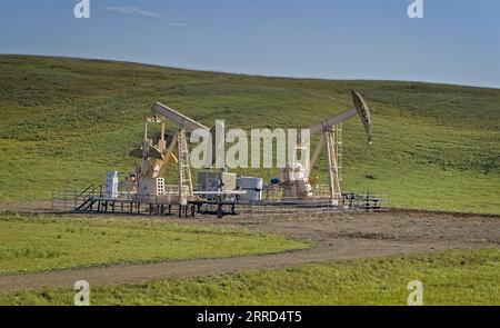 Pumpjacks, Rocky View County, Alberta, Kanada Stockfoto