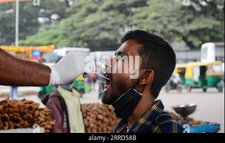 211203 -- BANGALORE, 3. Dez. 2021 -- Ein Mitarbeiter des Gesundheitswesens nimmt eine Abstrichprobe eines Reisenden für COVID-19-Tests auf einem Markt in Bangalore, Indien, 2. Dez. 2021. Indiens COVID-19-Bilanz stieg am Donnerstag auf 34.606.541 an, da in den letzten 24 Stunden im ganzen Land 9.765 neue Fälle registriert wurden, wie die jüngsten Daten des Bundesgesundheitsministeriums zeigen. STR/INDIA-COVID-19-TESTING Xinhua PUBLICATIONxNOTxINxCHN Stockfoto