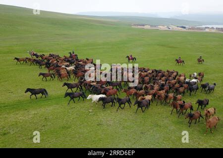 211205 -- ZHANGYE, 5. Dezember 2021 -- Luftaufnahme aufgenommen am 19. Juni 2021 zeigt Pferde, die auf der Shandan Horse Ranch im Shandan County, Stadt Zhangye, Provinz Gansu im Nordwesten Chinas galoppieren. Der Bahnhof Shandan Horse Ranch in einer Höhe von über 3.000 Metern nahm am Sonntag seinen Betrieb auf. Schnellzüge, die Passagiere nach Lanzhou, Xi an, Ürümqi, Jiayuguan und Dunhuang bringen können, fahren jeden Tag in den Bahnhof. Die Lanzhou-Xinjiang-Eisenbahn verbindet die nordwestchinesische Provinz Gansu mit der autonomen Region Xinjiang Uygur. Die Shandan Horse Ranch liegt in den Qilian Mountains und ist eine der t Stockfoto