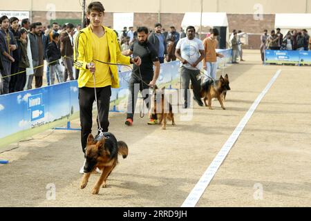 211212 -- RAWALPINDI, 12. Dezember 2021 -- Menschen mit ihren Hunden nehmen am 12. Dezember 2021 an der All Breed Dog Show in Rawalpindi in der pakistanischen Provinz Punjab Teil. PAKISTAN-RAWALPINDI-HUNDESHOW AhmadxKamal PUBLICATIONxNOTxINxCHN Stockfoto