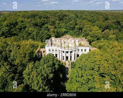 Luftaufnahme eines verfallenen, bewachsenen alten, verlassenen Herrenhauses. Ehemaliges Anwesen der Golitsyns in Zubrilovka. Stockfoto