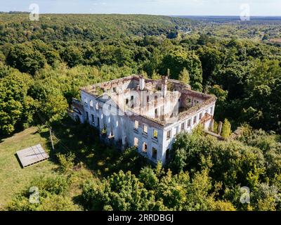 Luftaufnahme eines verfallenen, bewachsenen alten, verlassenen Herrenhauses. Ehemaliges Anwesen der Golitsyns in Zubrilovka. Stockfoto