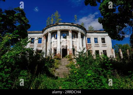 Ruine überwucherte alte verlassene Villa. Ehemaliges Anwesen der Golitsyns in Zubrilovka. Stockfoto