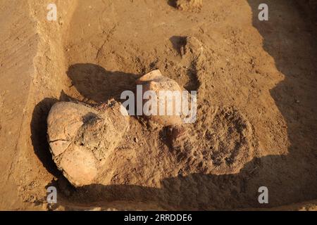 211218 -- ZHENGZHOU, 18. Dezember 2021 -- das Foto zeigt Tontöpfe, die in der Kulturstätte Peiligang in Xinzheng, der zentralchinesischen Provinz Henan, gefunden wurden. Archäologen sagten am Freitag, dass sie die frühesten Beweise dafür gefunden hätten, dass Chinesen monaskus zur Herstellung von Alkohol in 8.000 Jahre alten Tontöpfen verwendet hätten, die in Zentralchina gefunden wurden. Peiligang ist eine der frühesten Burgruinen in China, die etwa 8.000 Jahre alt ist. Es liefert wichtige Belege für Studien über die Herkunft und Entwicklung der Landwirtschaft, der Töpferei, der Textilindustrie sowie der Alkoholherstellung in der Antike. CHINA-HENA Stockfoto