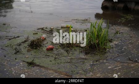 Dreckiger Stadtfluss, Stausee, See, Plastikflaschen im Wasser. Das Konzept der Verschmutzung durch den Menschen, der Stauseen-Industrie, der Umweltkatastrophe, des Todes Stockfoto