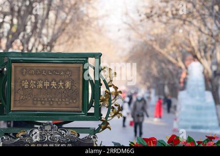220102 -- HARBIN, 2. Januar 2022 -- Menschen gehen auf der Harbin Central Street in Harbin, nordöstliche Provinz Heilongjiang, 1. Januar 2022. Harbin, berühmt für seinen Eis- und Schneetourismus, zieht Touristen im Winter an. CHINA-HEILONGJIANG-HARBIN-ICE-SNOW-TOURISM CN WANGXJIANWEI PUBLICATIONXNOTXINXCHN Stockfoto