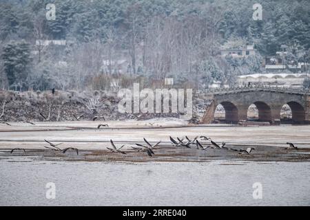 220115 -- KUNMING, 15. Januar 2022 -- Schwarzhalskraniche werden im Huize Black-Neck Crane Nature Reserve in Qujing City, südwestchinesische Provinz Yunnan, 13. Januar 2022 gesehen. In den letzten Jahren haben die lokalen Behörden eine Reihe von Maßnahmen ergriffen, um den Lebensraum von Schwarzhalskranichen zu schützen. CHINA-YUNNAN-BLACK-NECK CRANESCN HuxChao PUBLICATIONxNOTxINxCHN Stockfoto