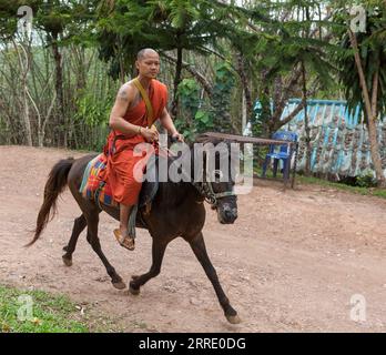 CHIANG RAI, THAILAND - 21. Mai 2016: Buddhistischer Mönch reitet im Golden Horse Temple (Wat Phra Archa Thong). Mönch mit traditionellem orangen Gewand Stockfoto