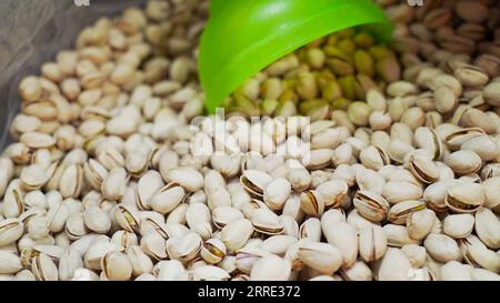 Haufen roher frischer Pistazien. Pistacia vera, ein Mitglied der Cashew-Familie. Stockfoto