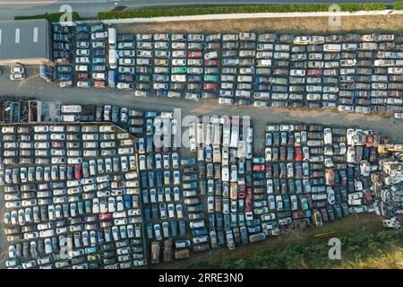 Luftaufnahme des großen Parkplatzes von Schrottplatz mit Reihen von weggeworfenen gebrochenen Autos. Recycling von Altfahrzeugen Stockfoto