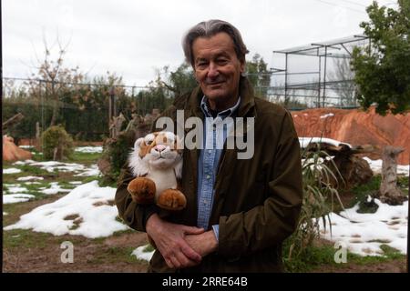 220130 -- ATHEN, 30. Januar 2022 -- Jean Jacques Lesuaeur, Gründer und CEO der Attica Thematic Park S.A., die den Attica Zoological Park verwaltet, hält am 29. Januar 2022 in Athen, Griechenland, einen Spielzeugtiger. Anlässlich des chinesischen Mondneujahrs des Tigers sandte der Gründer des Zoologischen Parks Attika in Griechenland Wünsche an das chinesische Volk und forderte eine bilaterale Zusammenarbeit. UM MIT DEM griechischen Zoo Park Gründer sendet Neujahrswünsche, sucht Zusammenarbeit mit China GRIECHENLAND-ATHEN-ZOOLOGICAL PARK-TIGER MariosxLolos PUBLICATIONxNOTxINxCHN Stockfoto