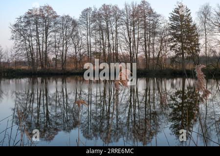 220202 -- LIMBURG, 2. Februar 2022 -- Foto aufgenommen am 24. Januar 2022 zeigt die Feuchtgebiete des Naturschutzgebietes de Wijers in der Provinz Limburg, Belgien. Der jährlich am 2. Februar stattfindende World Wetlands Day soll das globale Bewusstsein für die wichtige Rolle von Feuchtgebieten schärfen. BELGIEN-WELT FEUCHTGEBIETE TAGESLANDSCHAFT ZhangxCheng PUBLICATIONxNOTxINxCHN Stockfoto