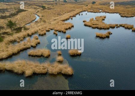 220202 -- LIMBURG, 2. Februar 2022 -- Luftaufnahme vom 28. Januar 2022 zeigt die Feuchtgebiete des Kalmthoutse Heide Grenzparks in der Provinz Antwerpen, Belgien. Der jährlich am 2. Februar stattfindende World Wetlands Day soll das globale Bewusstsein für die wichtige Rolle von Feuchtgebieten schärfen. BELGIEN-WELT FEUCHTGEBIETE TAGESLANDSCHAFT ZhangxCheng PUBLICATIONxNOTxINxCHN Stockfoto