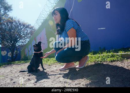 Junge lateinerin, die im Park hockt und ihren Hund trainiert, sie bittet, sie zu pfoten, Lebenskonzept, Kopierraum Stockfoto