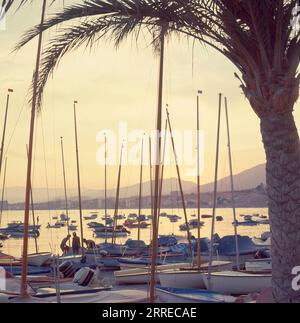 MASTILES DE VELEROS EN EL PUERTO AL ATARDECER - FOTO AÑOS 60 - FINALES. Lage: AUSSEN. Benidorm. Alicante. SPANIEN. Stockfoto