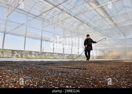 220227 -- SHIJIAZHUANG, 27. Februar 2022 -- Song Lianfeng Waters the Vegetable Setzlings at a Greenhouse in Gaogongzhuang Township of Xingtai, North China s Hebei Province, 27. Februar 2022. Song Lianfeng, 39, ist ein gebürtiger Gaogongzhuang. Die Bauern vor Ort bauten hauptsächlich Gewächshausgemüse an, aber die Kosten für den Kauf von Setzlingen waren hoch. Im Jahr 2011 sah Song die Marktnachfrage und entschied sich, das Geschäft mit Gemüsesämlingen zu betreiben. Um die Techniken des Anbaus und Anpflanzens von Gemüsesämlingen zu beherrschen, studierte und erforschte Song jahrelang. Mit Hilfe von Technikern konnte er mehrere lösen Stockfoto