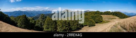 Ein atemberaubender Blick auf ein üppiges, grünes Tal inmitten einer Baumgruppe Stockfoto